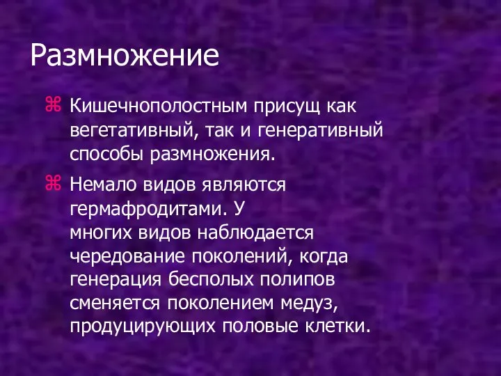 Размножение Кишечнополостным присущ как вегетативный, так и генеративный способы размножения. Немало