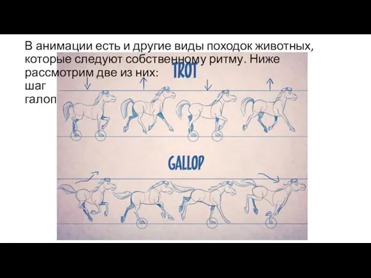 В анимации есть и другие виды походок животных, которые следуют собственному