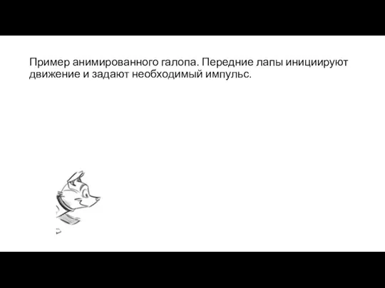 Пример анимированного галопа. Передние лапы инициируют движение и задают необходимый импульс.