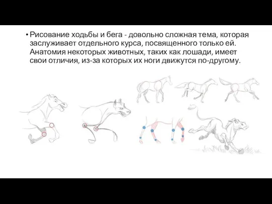 Рисование ходьбы и бега - довольно сложная тема, которая заслуживает отдельного