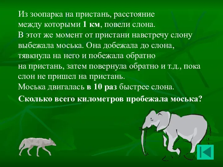 Из зоопарка на пристань, расстояние между которыми 1 км, повели слона.