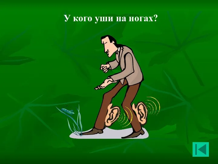 У кого уши на ногах?