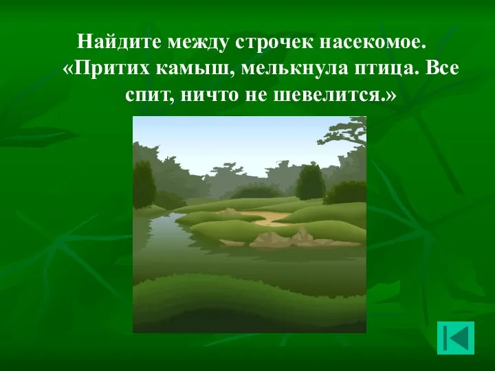 Найдите между строчек насекомое. «Притих камыш, мелькнула птица. Все спит, ничто не шевелится.»