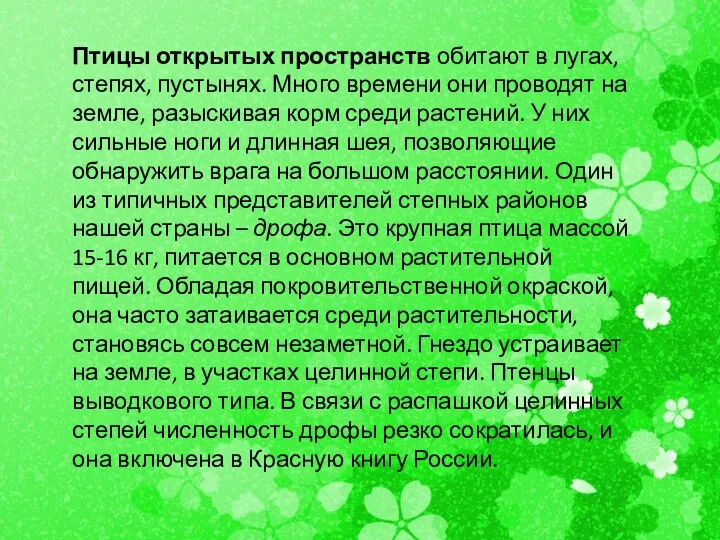 Птицы открытых пространств обитают в лугах, степях, пустынях. Много времени они