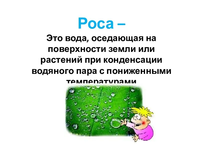 Роса – Это вода, оседающая на поверхности земли или растений при