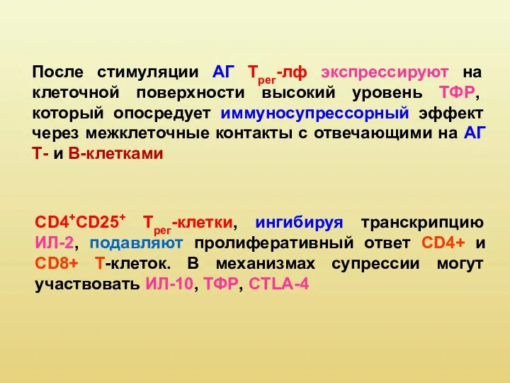 После стимуляции АГ Трег-лф экспрессируют на клеточной поверхности высокий уровень ТФР,