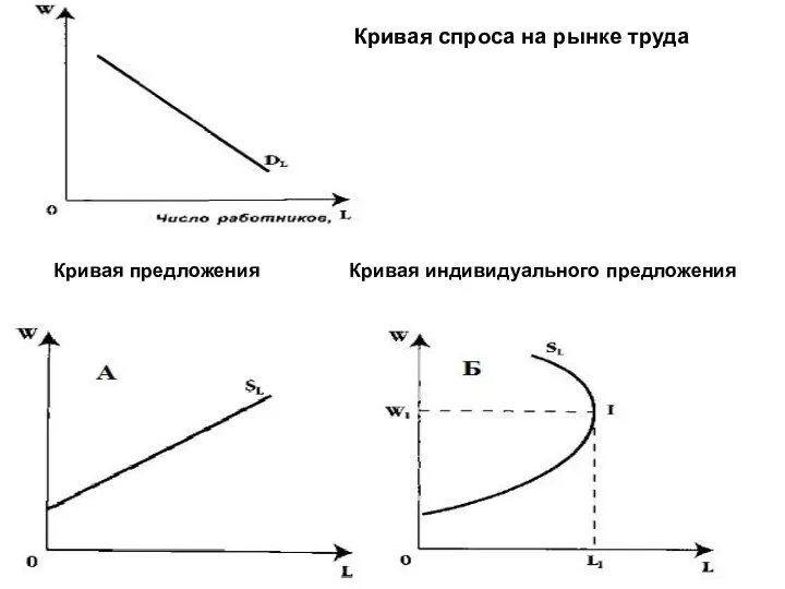 Кривая спроса на рынке труда Кривая предложения Кривая индивидуального предложения