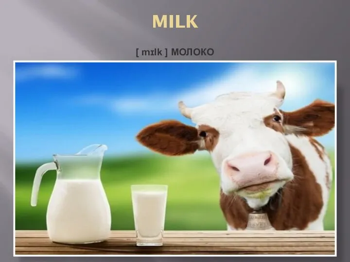 MILK [ mɪlk ] МОЛОКО