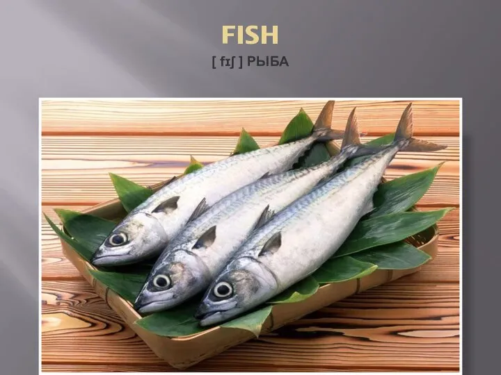 FISH [ fɪʃ ] РЫБА