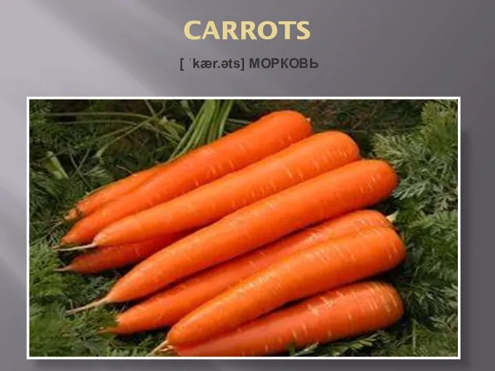 CARROTS [ ˈkær.əts] МОРКОВЬ