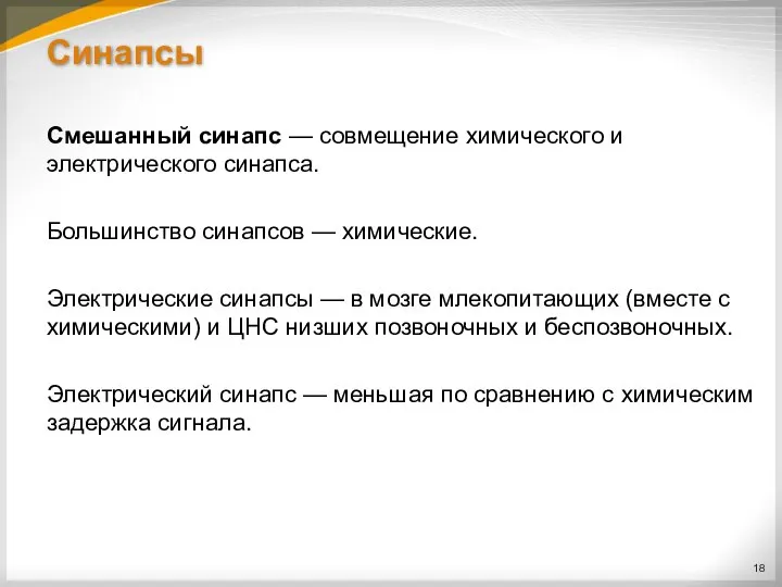 Синапсы Смешанный синапс — совмещение химического и электрического синапса. Большинство синапсов