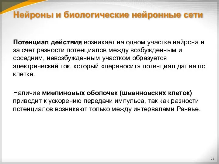 Нейроны и биологические нейронные сети Потенциал действия возникает на одном участке