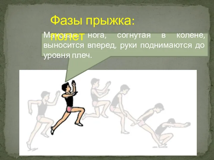 Маховая нога, согнутая в колене, выносится вперед, руки поднимаются до уровня плеч. Фазы прыжка: полет