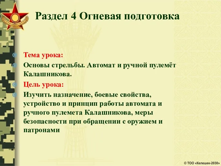 Раздел 4 Огневая подготовка Тема урока: Основы стрельбы. Автомат и ручной