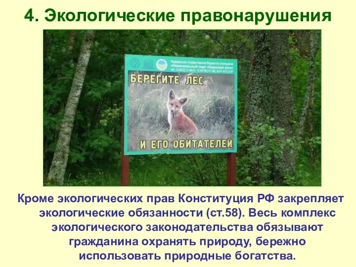 4. Экологические правонарушения Кроме экологических прав Конституция РФ закрепляет экологические обязанности
