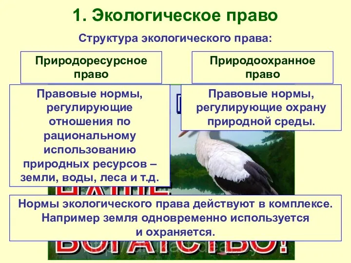 1. Экологическое право Структура экологического права: Природоресурсное право Природоохранное право Правовые