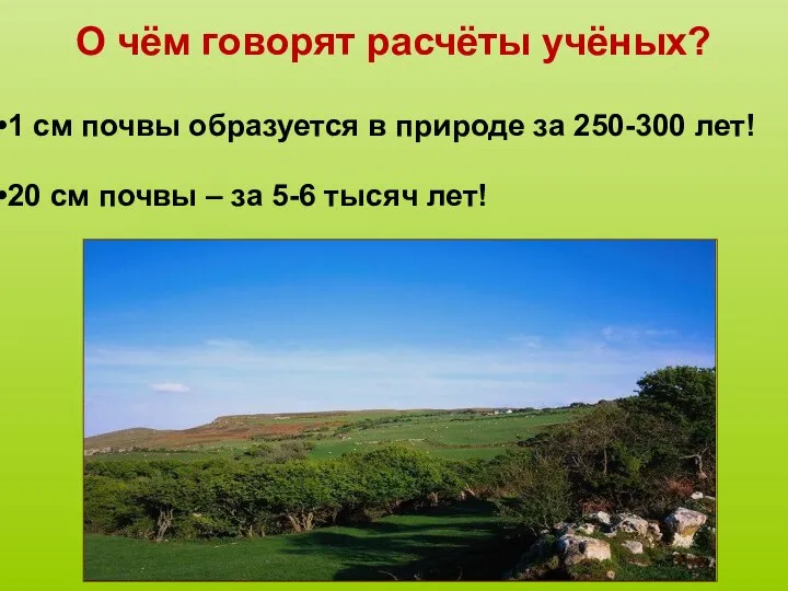 О чём говорят расчёты учёных? 1 см почвы образуется в природе