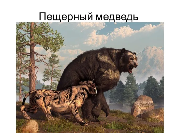 Пещерный медведь