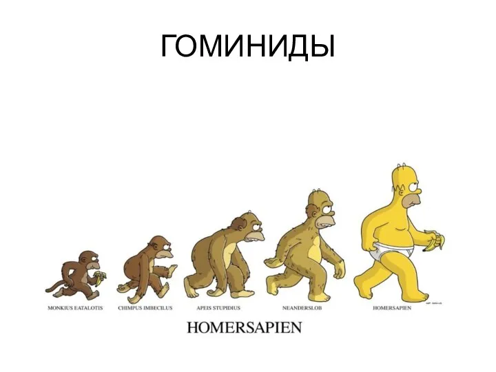 ГОМИНИДЫ