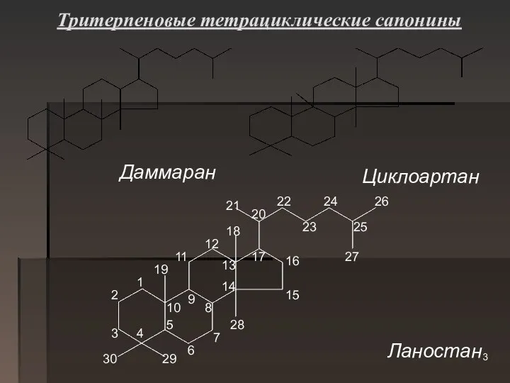 Тритерпеновые тетрациклические сапонины Даммаран Циклоартан Ланостан 2 1 4 5 6