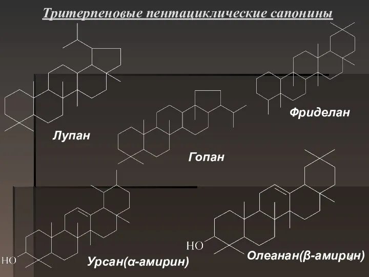 Тритерпеновые пентациклические сапонины Лупан Фриделан Гопан Урсан(α-амирин) Олеанан(β-амирин)