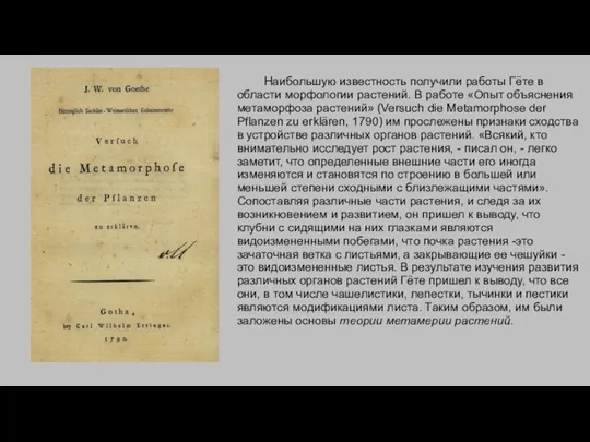 Наибольшую известность получили работы Гёте в области морфологии растений. В работе