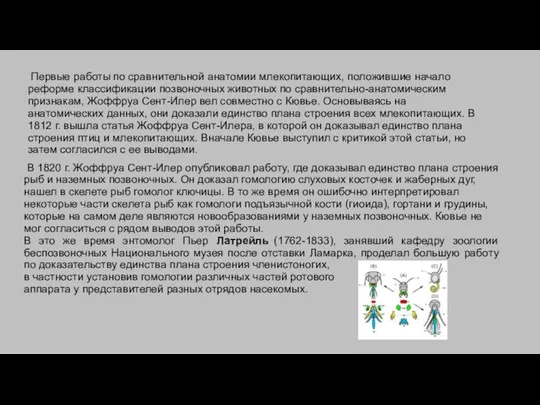 Первые работы по сравнительной анатомии млекопитающих, положившие начало реформе классификации позвоночных