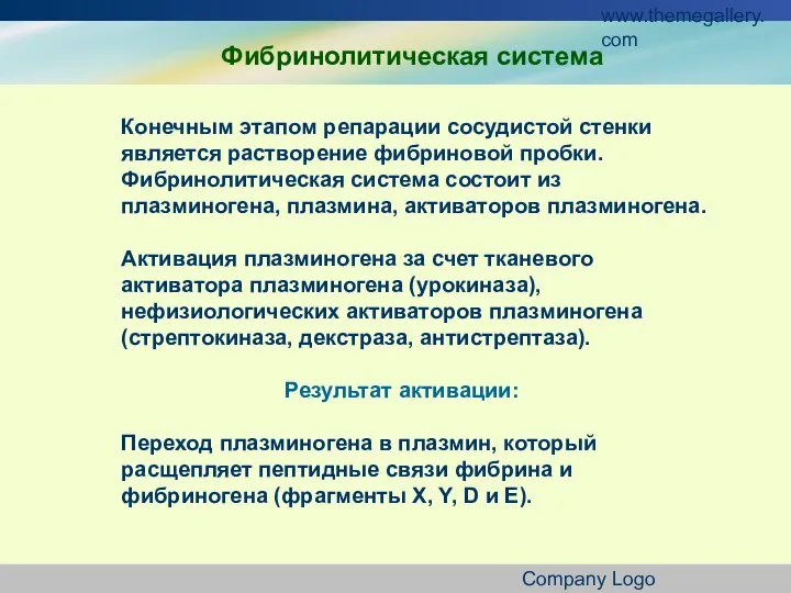 www.themegallery.com Company Logo Конечным этапом репарации сосудистой стенки является растворение фибриновой