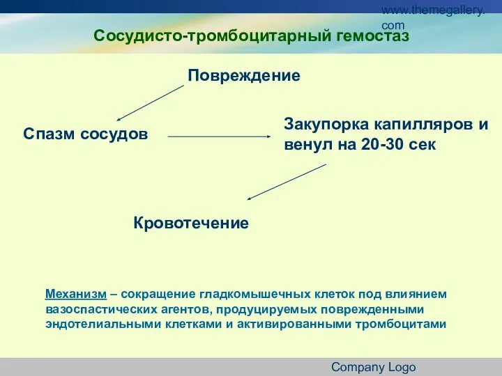 www.themegallery.com Company Logo Сосудисто-тромбоцитарный гемостаз Повреждение Спазм сосудов Закупорка капилляров и