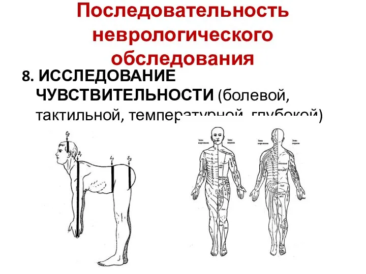 Последовательность неврологического обследования 8. ИССЛЕДОВАНИЕ ЧУВСТВИТЕЛЬНОСТИ (болевой, тактильной, температурной, глубокой)