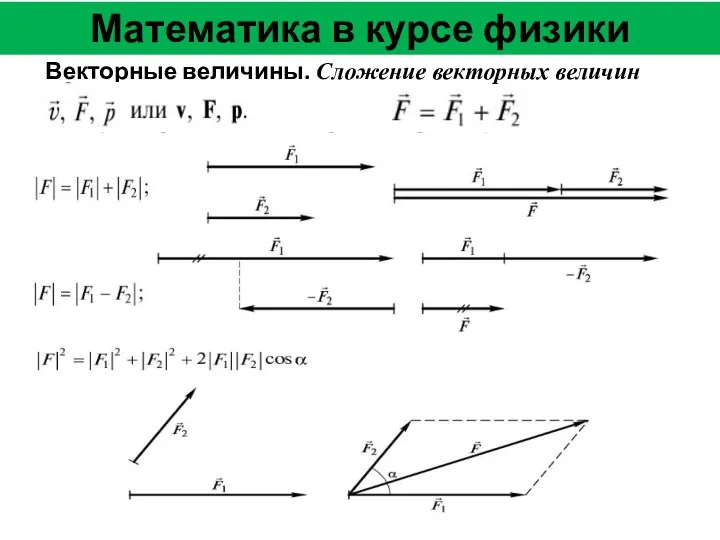 Математика в курсе физики Векторные величины. Сложение векторных величин