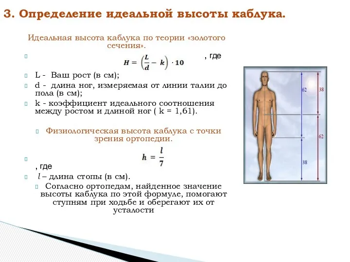 Идеальная высота каблука по теории «золотого сечения». , где L -