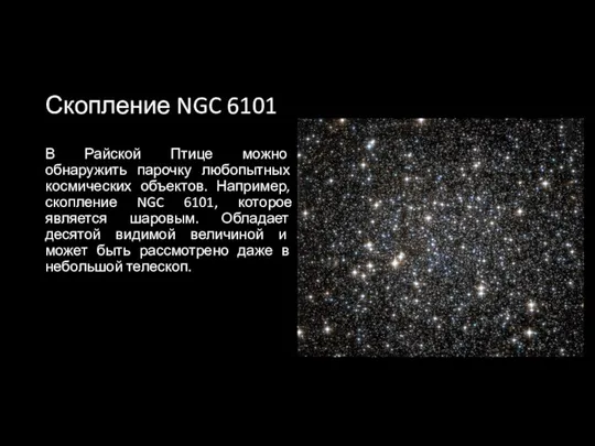 Скопление NGC 6101 В Райской Птице можно обнаружить парочку любопытных космических
