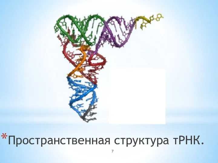 Пространственная структура тРНК.