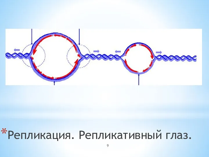 Репликация. Репликативный глаз.