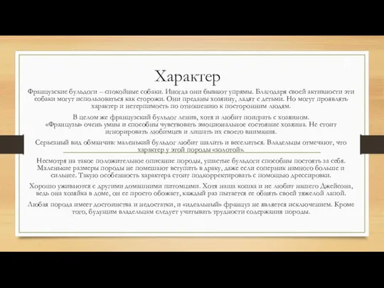 Характер Французские бульдоги – спокойные собаки. Иногда они бывают упрямы. Благодаря