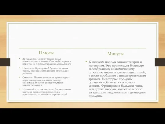 Плюсы Дружелюбие. Собачку можно смело оставлять дома с детьми. Они любят