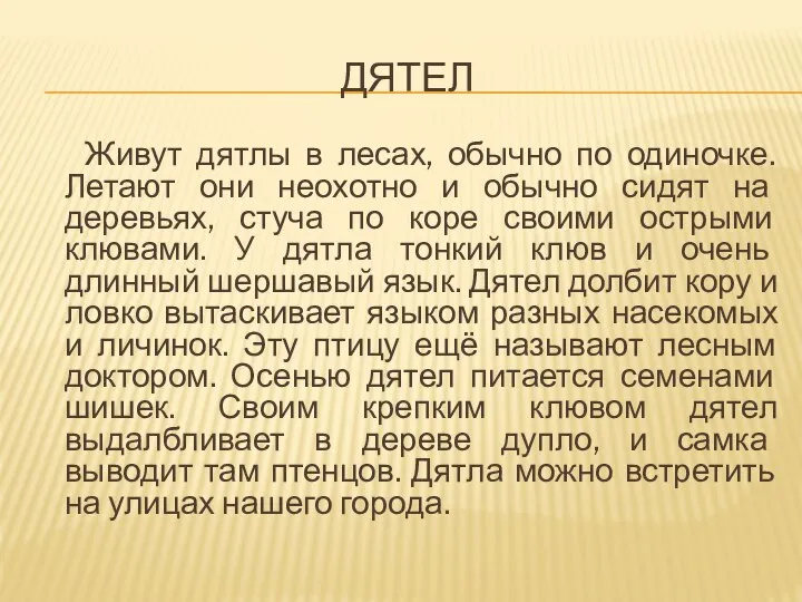 ДЯТЕЛ Живут дятлы в лесах, обычно по одиночке. Летают они неохотно