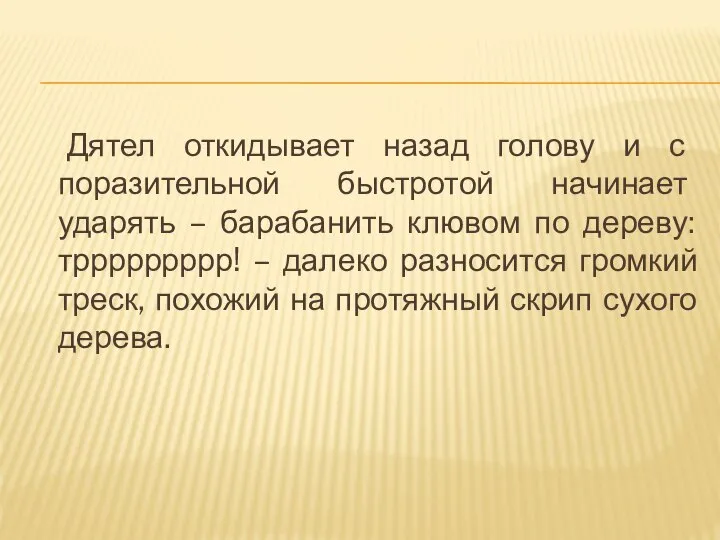 Дятел откидывает назад голову и с поразительной быстротой начинает ударять –