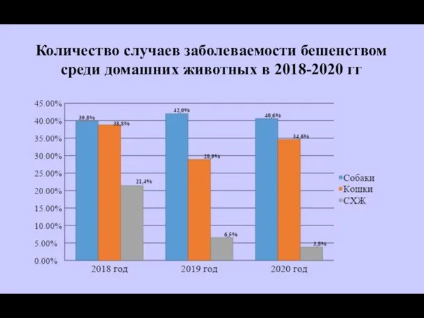 Количество случаев заболеваемости бешенством среди домашних животных в 2018-2020 гг