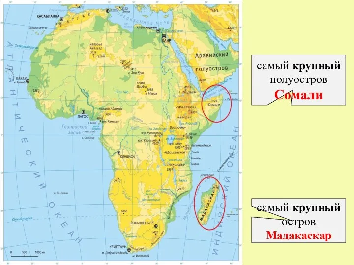 самый крупный остров Мадакаскар самый крупный полуостров Сомали