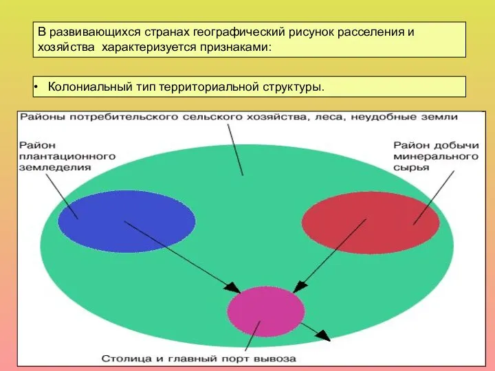 В развивающихся странах географический рисунок расселения и хозяйства характеризуется признаками: Колониальный