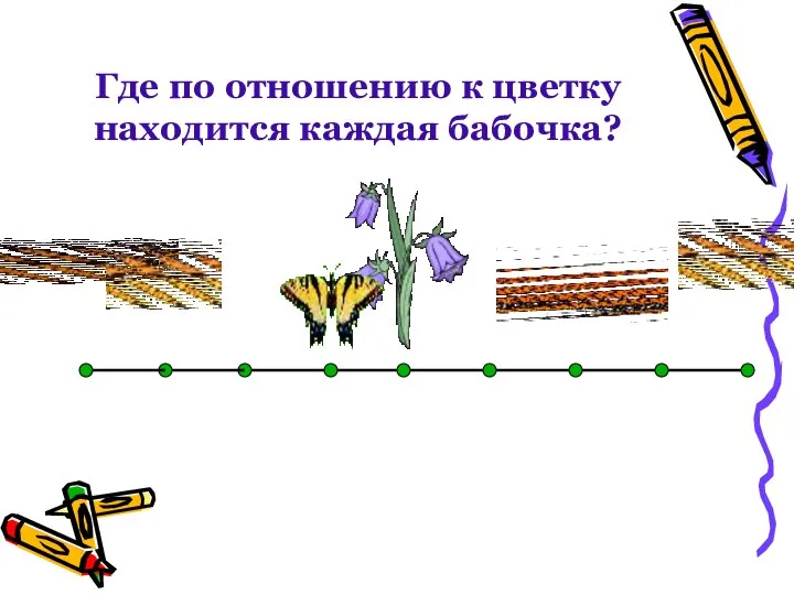 Где по отношению к цветку находится каждая бабочка? Где по отношению к цветку находится каждая бабочка?