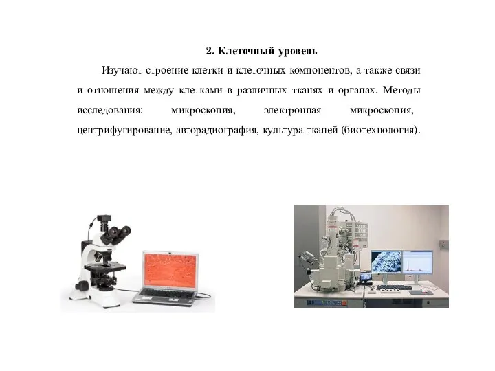 2. Клеточный уровень Изучают строение клетки и клеточных компонентов, а также