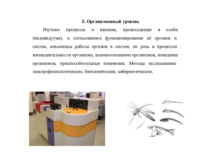 3. Организменный уровень Изучают процессы и явления, происходящие в особи (индивидууме),