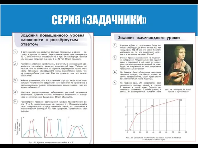 СЕРИЯ «ЗАДАЧНИКИ»