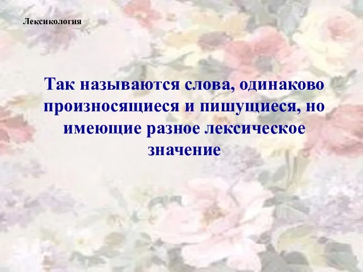 Так называются слова, одинаково произносящиеся и пишущиеся, но имеющие разное лексическое значение Лексикология