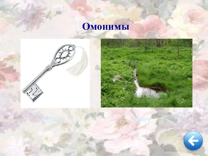 Омонимы Ключ1 Ключ2