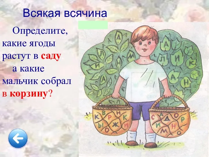 Всякая всячина Определите, какие ягоды растут в саду, а какие мальчик собрал в корзину?