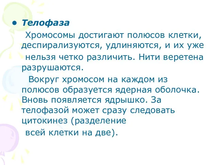 Телофаза Хромосомы достигают полюсов клетки, деспирализуются, удлиняются, и их уже нельзя